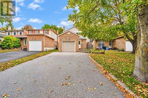 Markham (Markville) apartment for rent - A residential area with houses and a driveway.