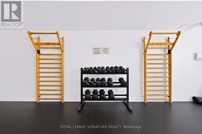 Toronto (Cliffcrest) condo for rent - A gym with weights and two ladders.