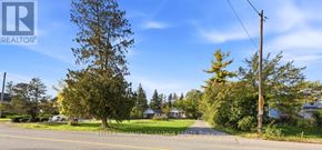 Pickering (Rougemount) apartment for rent - A tree in front of a house with a sign that says "REALTOR".
