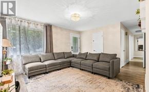 London East (East D) apartment for rent - A living room with a grey sofa set and a rug.