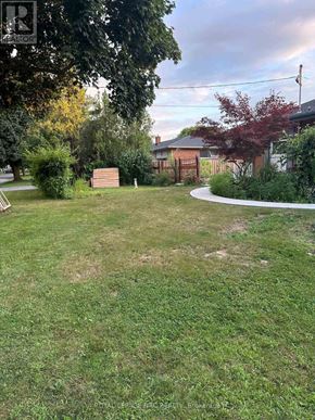 St. Catharines (Vine/Linwell) apartment for rent - A backyard with a grassy area and a bench.