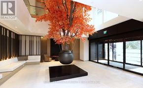 Mississauga (City Centre) condo for rent - A living room with a tree in a black pot.