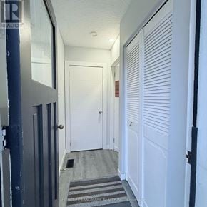 Hamilton (Vincent) apartment for rent - A hallway with white doors and a striped rug on the floor.