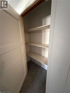 Waterloo apartment for rent - Empty pantry with white walls and shelves.