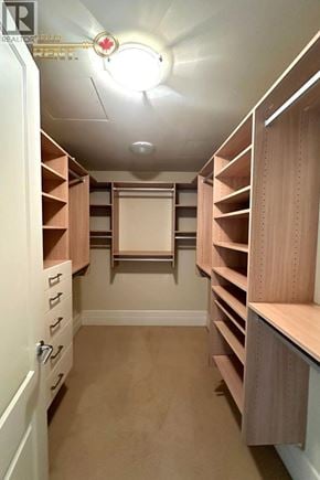 West Vancouver apartment for rent - A walk-in closet with wooden shelves and drawers.