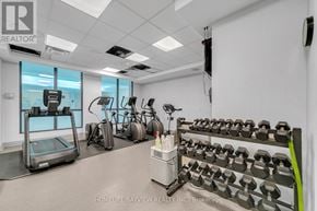 Toronto (Lansing-Westgate) condo for rent - A gym with a treadmill, elliptical machines, and dumbbells.