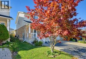 Kitchener apartment for rent - A tree with red leaves in front of a house with a REALTOR sign.