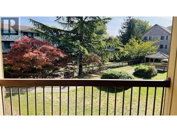 Richmond apartment for rent - A view from a balcony looking out at a tree and a house.
