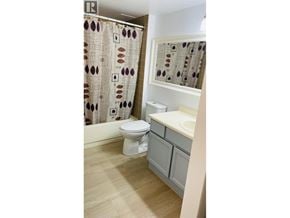 Richmond apartment for rent - A bathroom with a toilet, sink, and shower curtain.