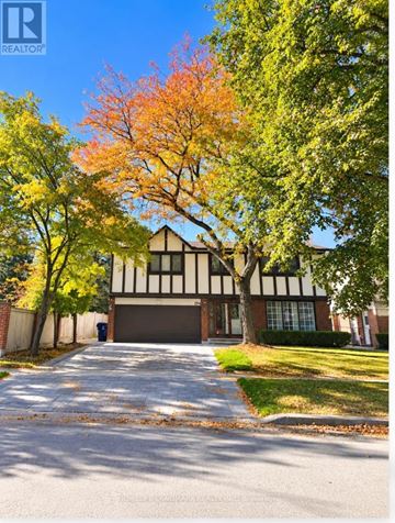 Toronto (Banbury-Don Mills) apartment for rent - A tree with orange leaves is in front of a black and white building.