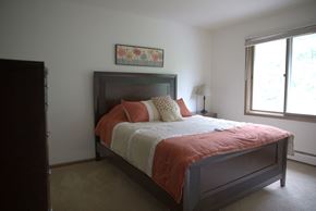 Cedarburg apartment for rent - Plenty of Natural Light at Woodmere Townhomes, Wisconsin