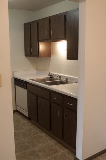 Saukville apartment for rent - a kitchen with a sink and wooden cabinets