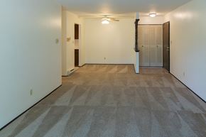 Grafton apartment for rent - an empty living room with carpet and a door to a closet