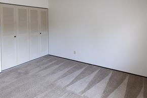 Grafton apartment for rent - a room with white walls and carpet and two closet doors