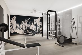 Denver apartment for rent - Studio LoHi Apartments - Denver, CO - Fitness Center