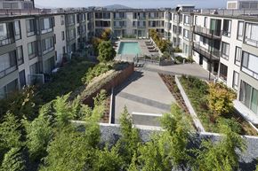 San Francisco apartment for rent - Common area with a swimming pool that can be enjoyed by our residents.