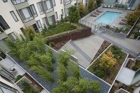 San Francisco apartment for rent - Common area with a swimming pool that can be enjoyed by our residents.