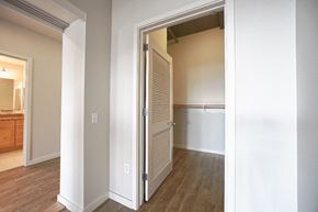 San Francisco apartment for rent - an open door leading into a living room with a closet