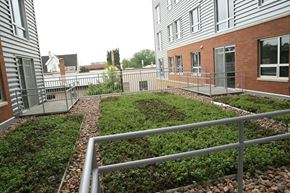 Madison apartment for rent - a garden on the side of a building