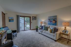 Madison apartment for rent - a living room with a couch and a chair and a sliding glass door
