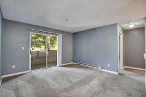 Newark apartment for rent - Apartments for Rent Newark - Alderwood Park - Living Area with Grey Carpeting and Patio