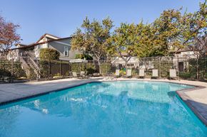 Newark apartment for rent - Newark, CA Apartments-Alderwood Park-Fenced Pool with Lounge Seating