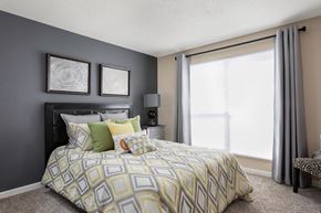 Louisville apartment for rent - Spacious bedroom with large window and accent wall in Louisville apartments for rent