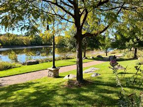 Eau Claire apartment for rent - a park with a tree and a pond