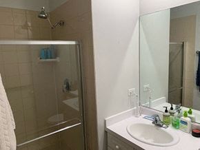 Chicago apartment for rent - a bathroom with a sink and a shower and a mirror