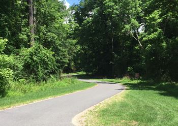 Neuse river greenway, bike path and canoe launch