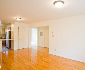 Newark apartment for rent - living room with hardwood floors and white walls and view of kitchen