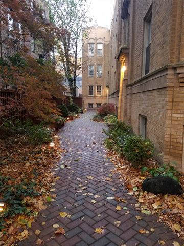 Chicago apartment for rent - a brick path with leaves on the side of a building