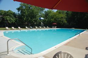 Adelphi apartment for rent - Campus Gardens Pool