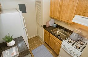 Adelphi apartment for rent - a kitchen with a stove sink and refrigerator
