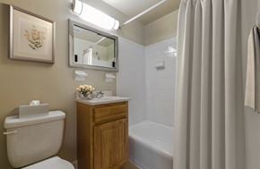 Bladensburg apartment for rent - a bathroom with a toilet and a sink and a shower