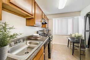 Falls Church apartment for rent - a kitchen with a sink and a stove and a window