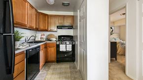 Alexandria apartment for rent - a kitchen with black appliances and wooden cabinets