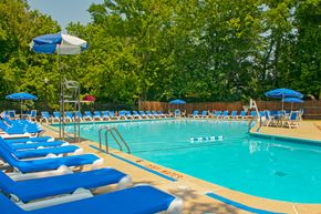 Silver Spring apartment for rent - our resort style swimming pool is filled with chairs and umbrellas