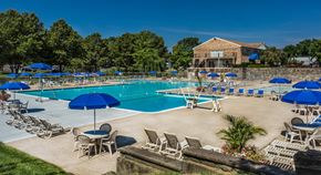 Cockeysville apartment for rent - a swimming pool with chairs and umbrellas at the resort