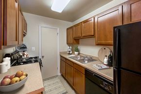 New Carrollton apartment for rent - a kitchen with wooden cabinets and a sink and a refrigerator