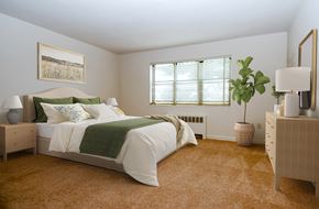 Hyattsville apartment for rent - a bedroom with a bed and a potted plant