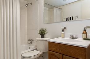Silver Spring apartment for rent - a bathroom with a toilet sink and shower and a mirror