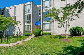 Silver Spring apartment for rent - our apartments offer a green lawn and a tree in front of our building