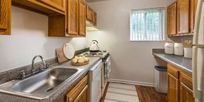Hyattsville apartment for rent - a kitchen with a sink and a stove and a window