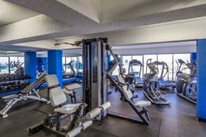 Baltimore apartment for rent - a gym with treadmills and other exercise equipment in a building with windows