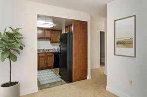 Dundalk apartment for rent - a kitchen with a black refrigerator  and a potted plant