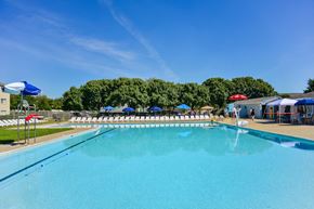 Dundalk apartment for rent - a swimming pool with chairs and umbrellas at the resort