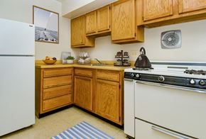 Silver Spring apartment for rent - a kitchen with a white stove and refrigerator and wooden cabinets