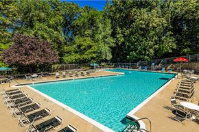 Silver Spring apartment for rent - a swimming pool with chairs and trees in the background