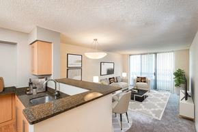 Bethesda apartment for rent - the view of a living room and a kitchen with a granite counter top